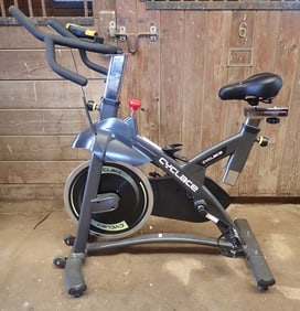 Cyclace Exercise Bike