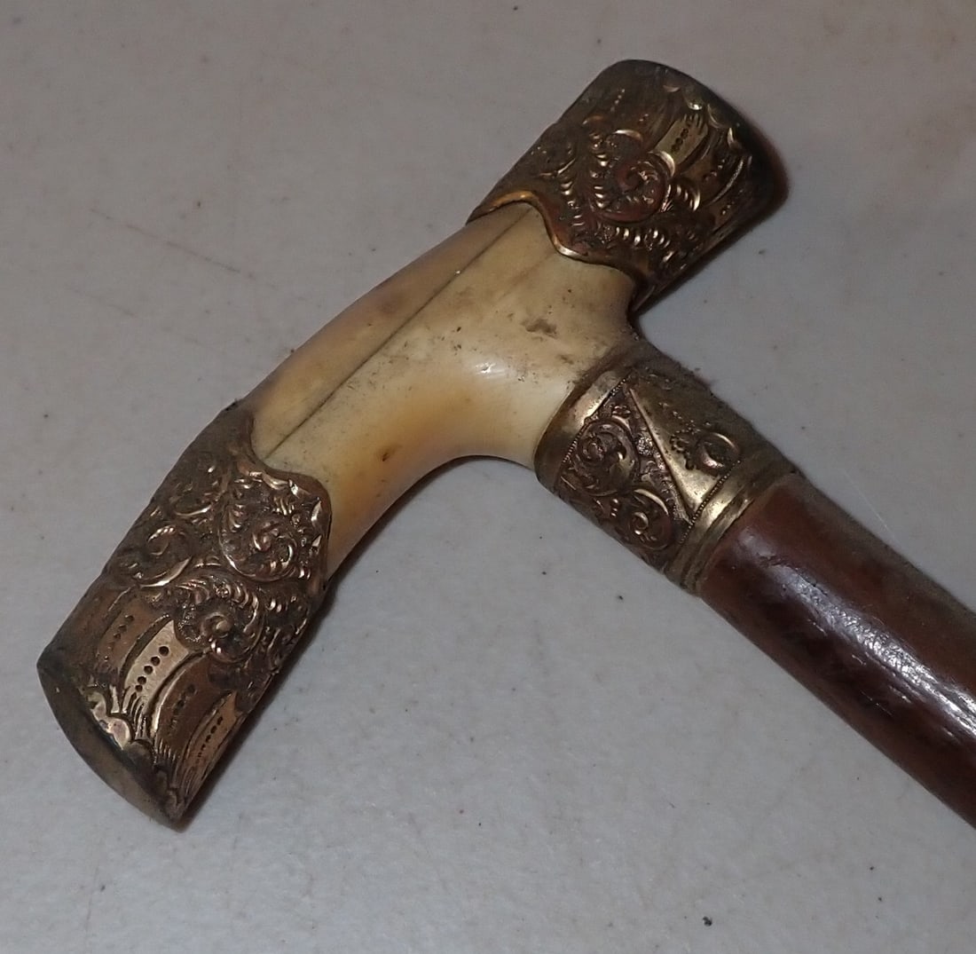 Bone Handle Bamboo Walking Stick w/ Carved Bug: Walking stick / cane with carved bug. Approx 35" long. Shipping available