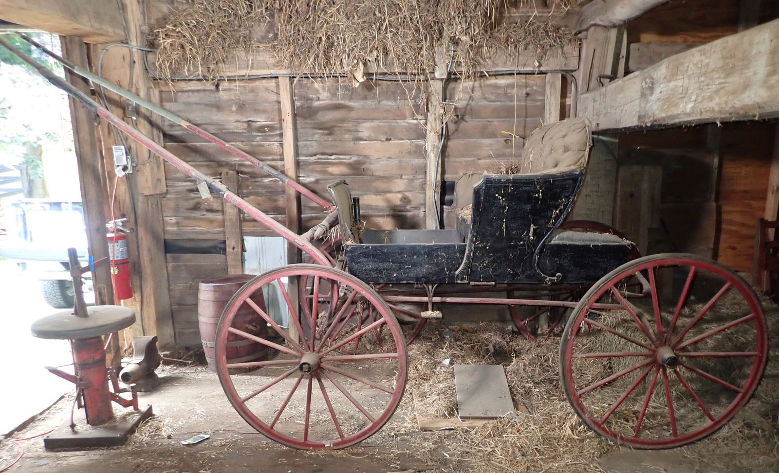 Phelps Carriage Co. Horse Drawn Buggy (1 of 12)