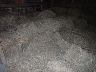 Mulch Hay
