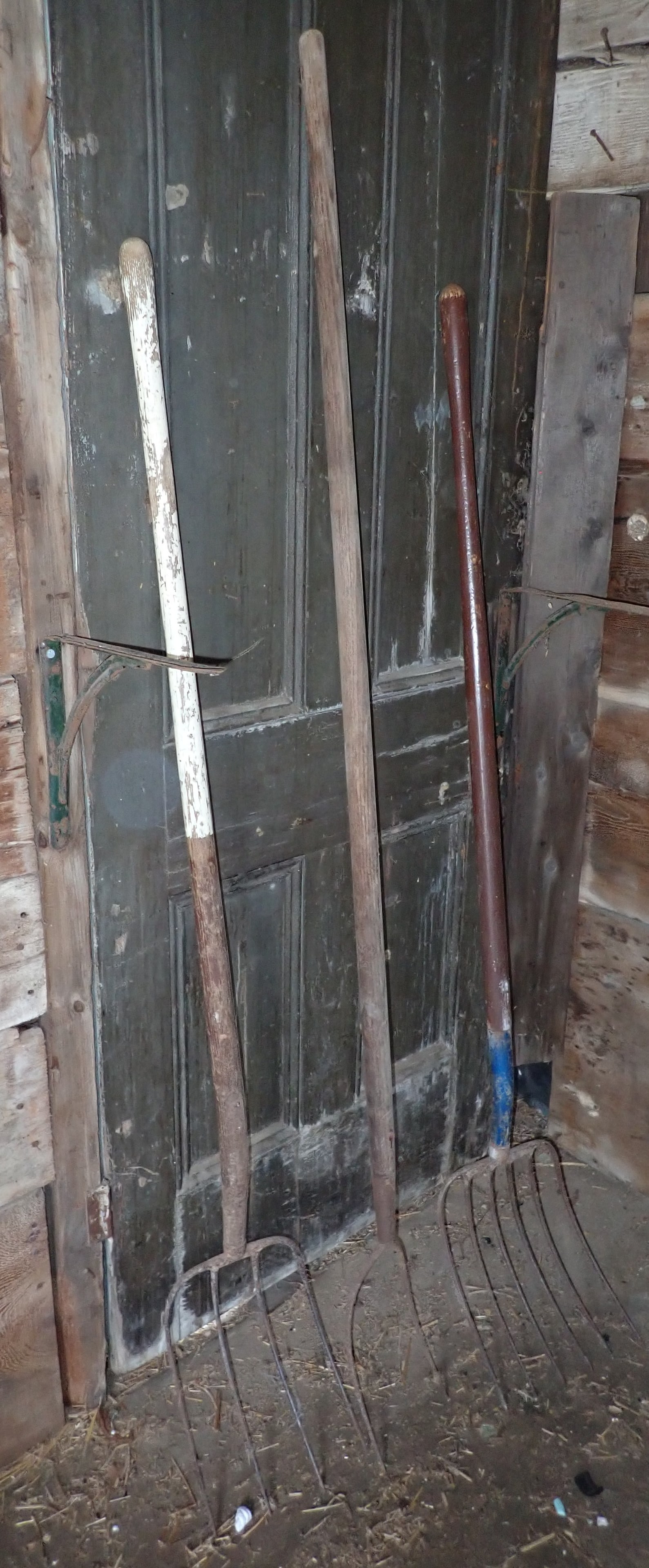 Hay Forks: Longest is approx 68 1/2". No in house shipping !