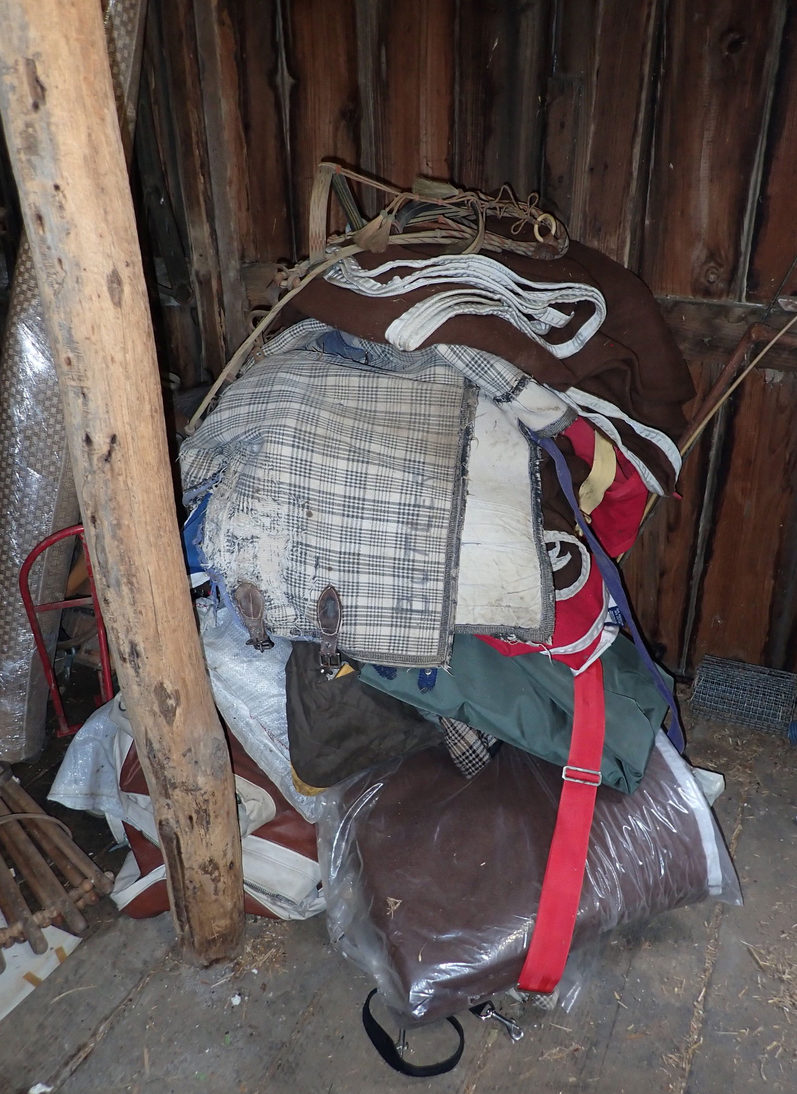 Horse Blankets & Misc Equestrian (1 of 9)