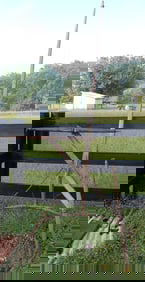 Buggy Shaft