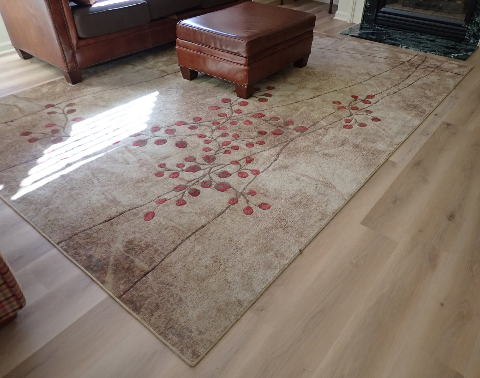Room Size Rug: Approx 7'9" x 10'10". Pick up AFTER 1pm. No in house shipping !