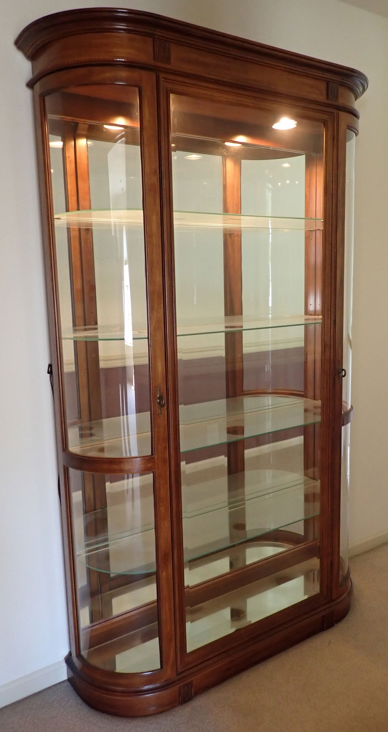 Lighted China Closet (1 of 2)