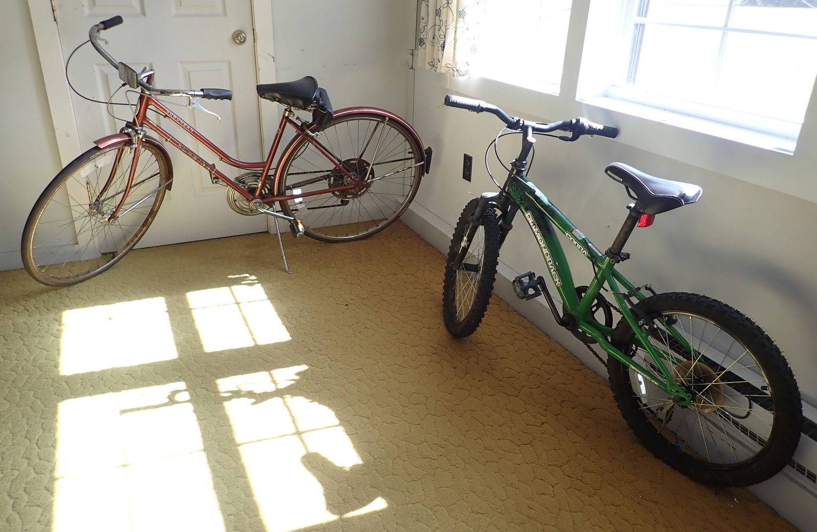 Schwinn & Diamondback Bicycles (1 of 3)