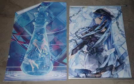 Shiro & Esdeath Banners
