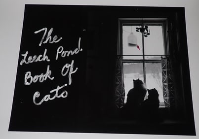 25 Jeff Weiss Photographs