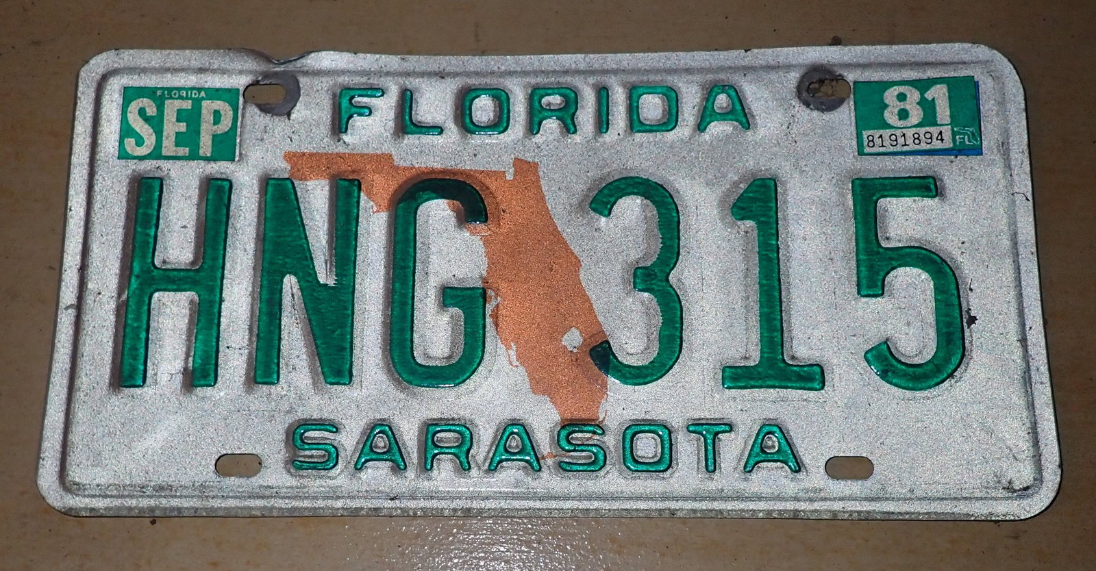 Florida License Plate (1 of 1)