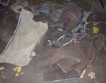Saddle & Chaps