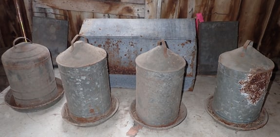 Chicken Feeders & Waterers