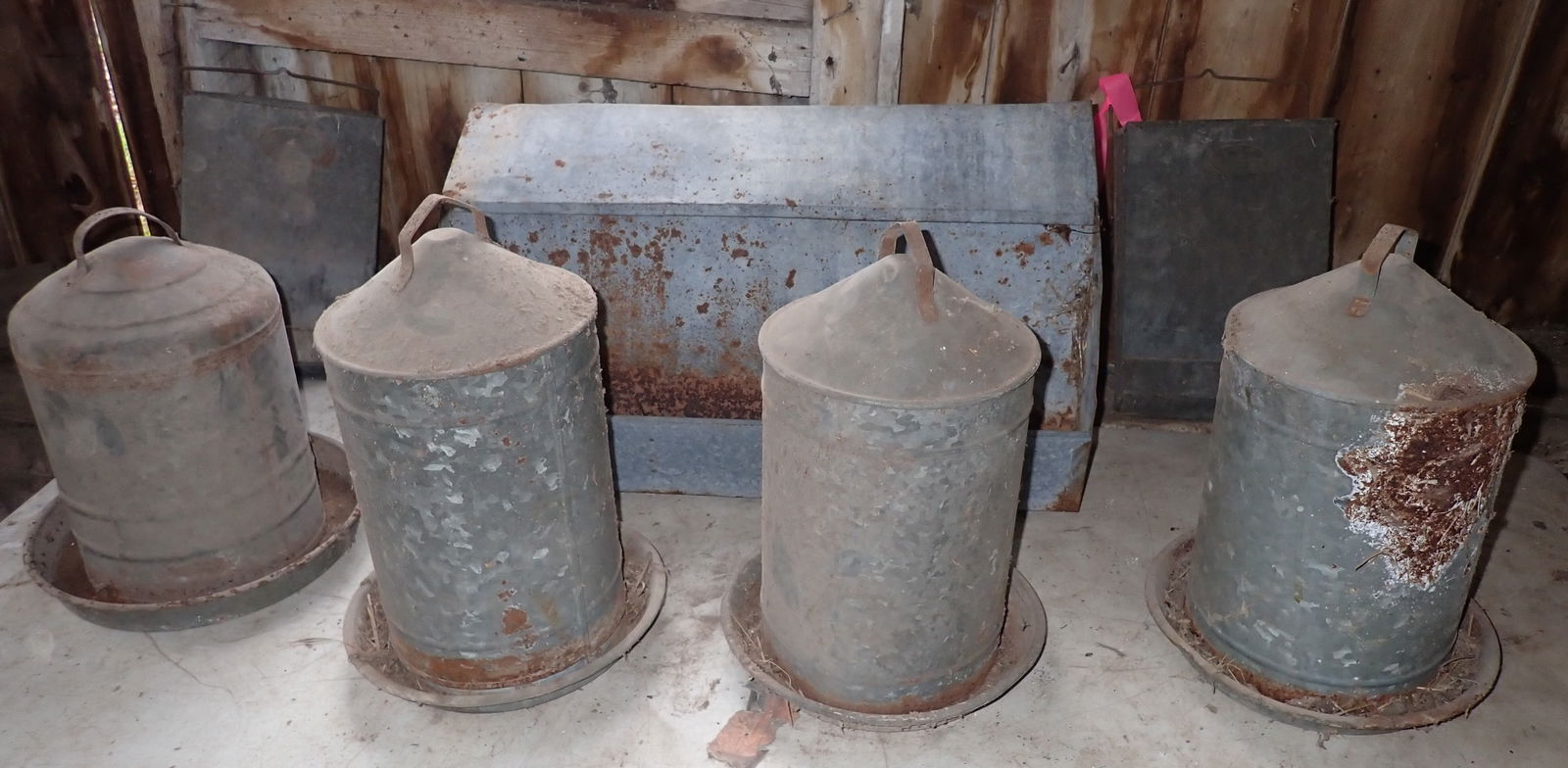 Chicken Feeders & Waterers (1 of 5)