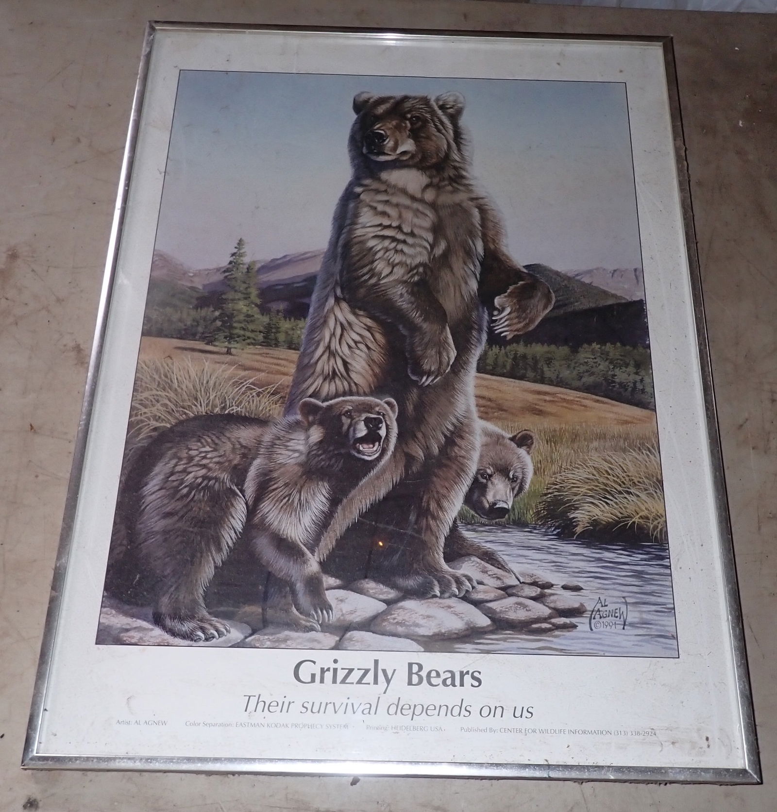 1991 Al Agnew Grizzly Bears Poster (1 of 4)