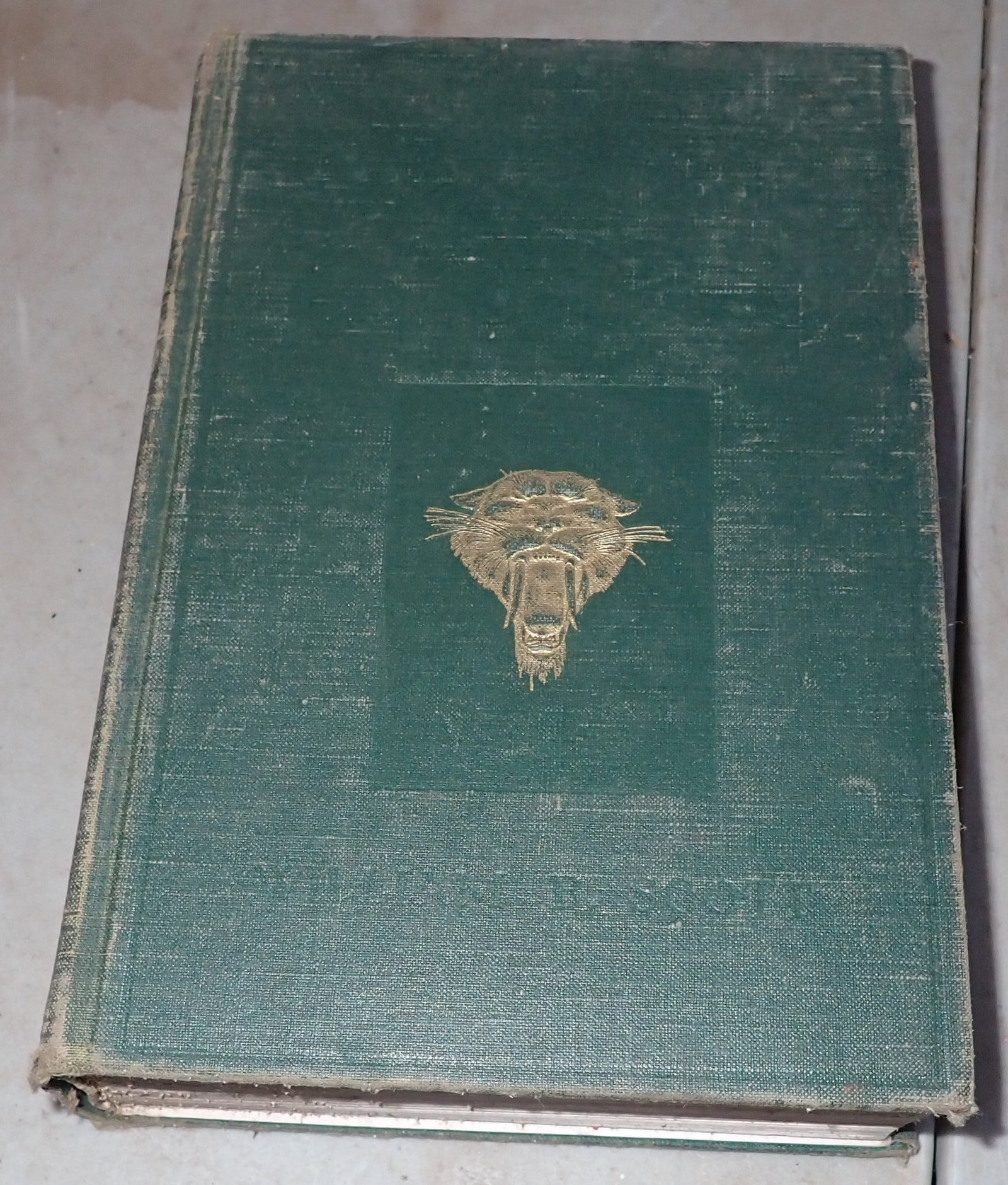 History of Land Mammals In The Western Hemisphere: By William Berryman Scott . Shipping available