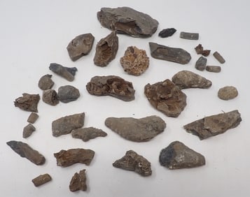 Crinoid Fossil , Basalt , Petrified Wood & Misc