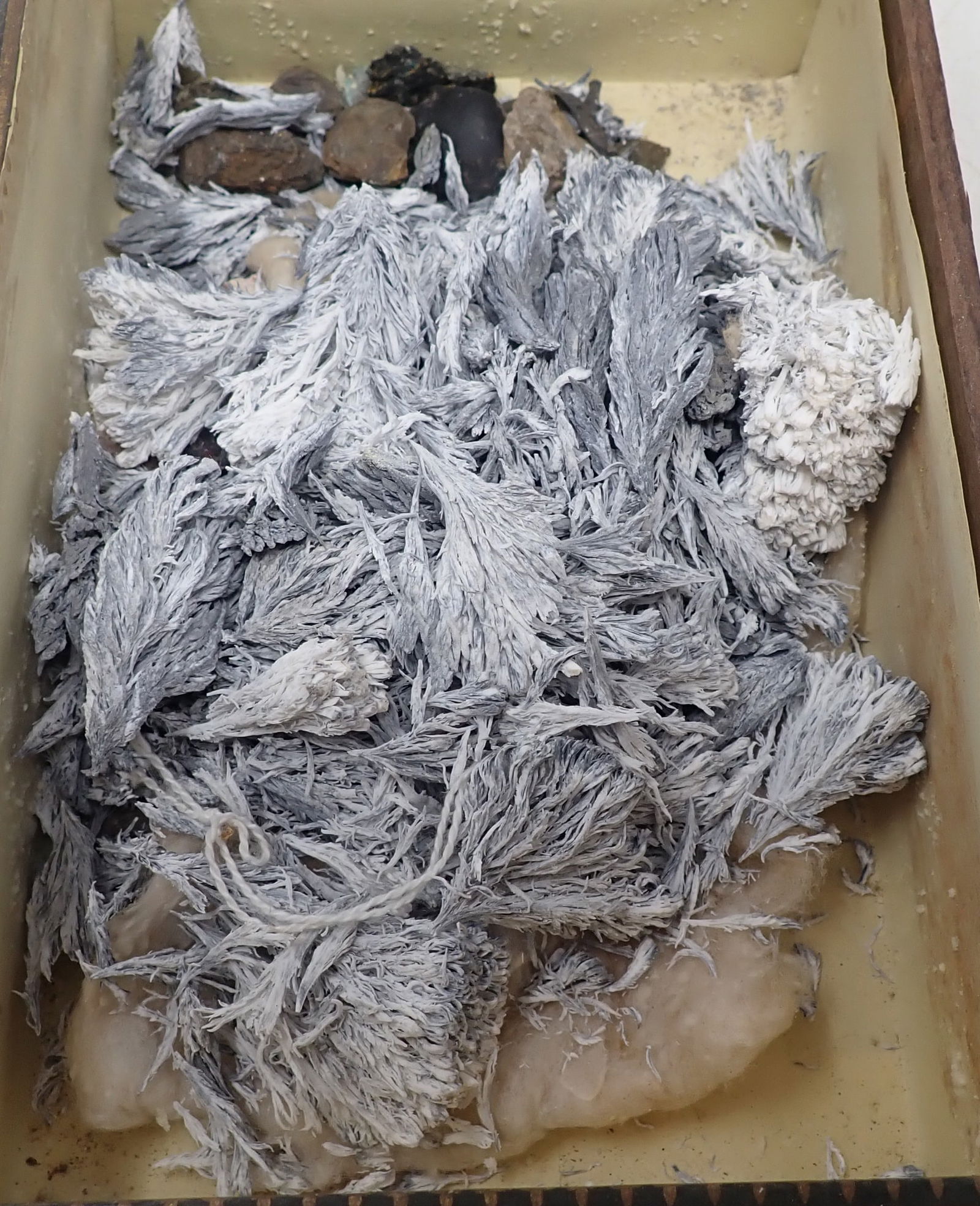 Rice Starch Crystals & Misc Rocks (1 of 2)