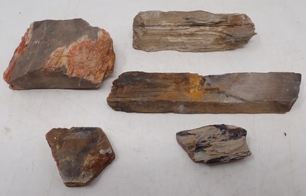 Petrified Wood & Misc