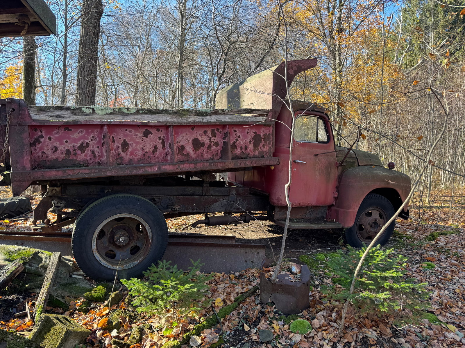 International L-160 Dumptruck Parts & Steel Beams: No title, No Bill of Sale. Sold for parts only ! This is located in Bangor Pa. Buyer will need to schedule a pick up for this item. It is located apprx 100 yards off the road and there is small trees 
