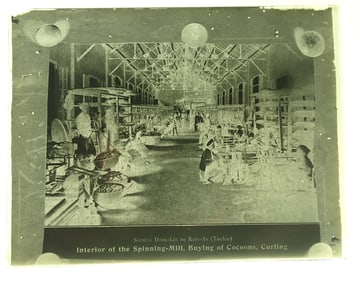 13 Glass Negatives incl Spinning Mill
