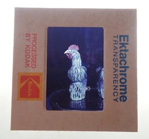 Ted Beckhardt Art Exchange Picture Slides