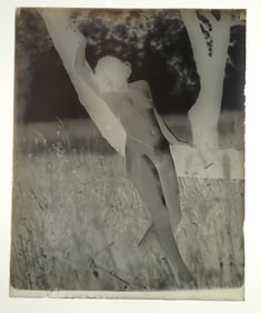 8 Nude Glass Photo Negatives