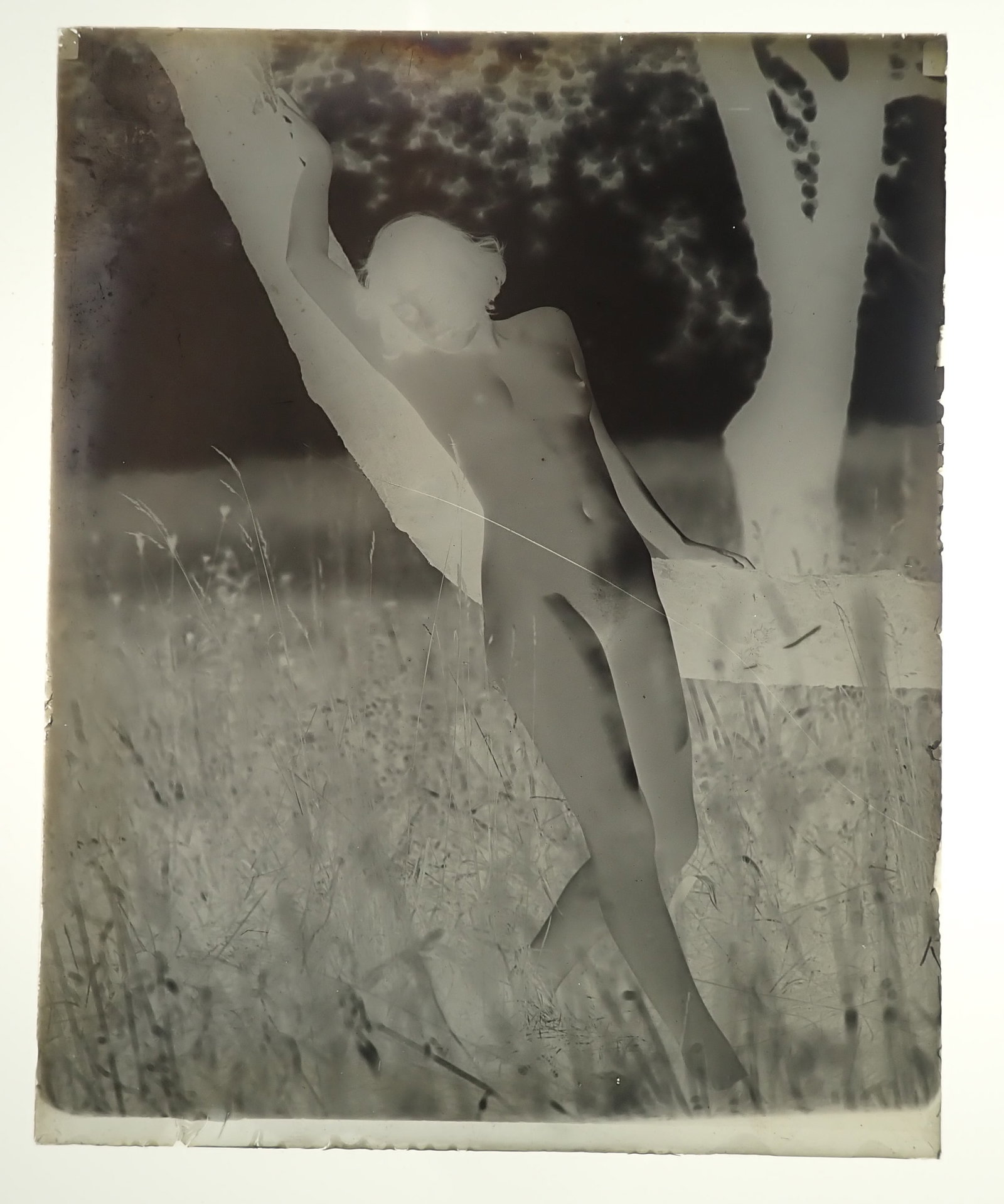 8 Nude Glass Photo Negatives: Apprx 4" x 5". Shipping available