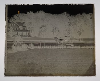 2 Glass Negatives Horse and Carriage , Children with Chickens