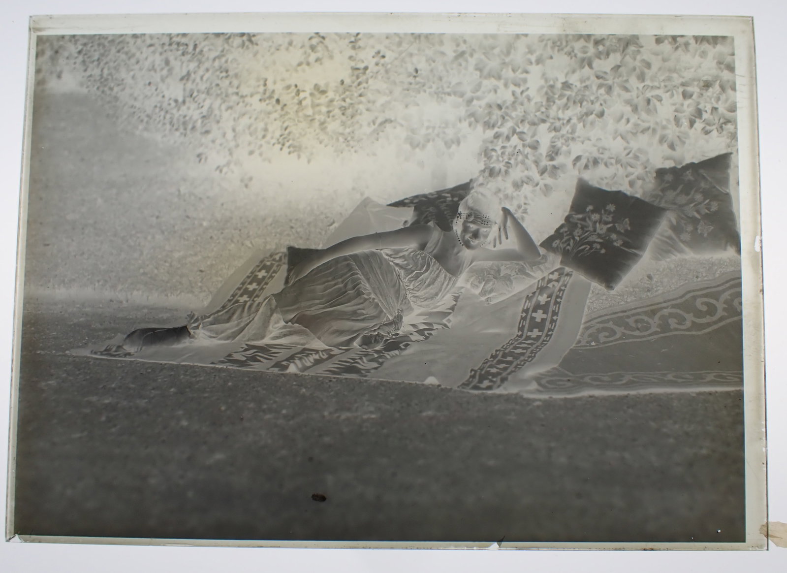 Dorothy Ettinger Glass Photo Negative: Approx 5" x 7". Shipping available