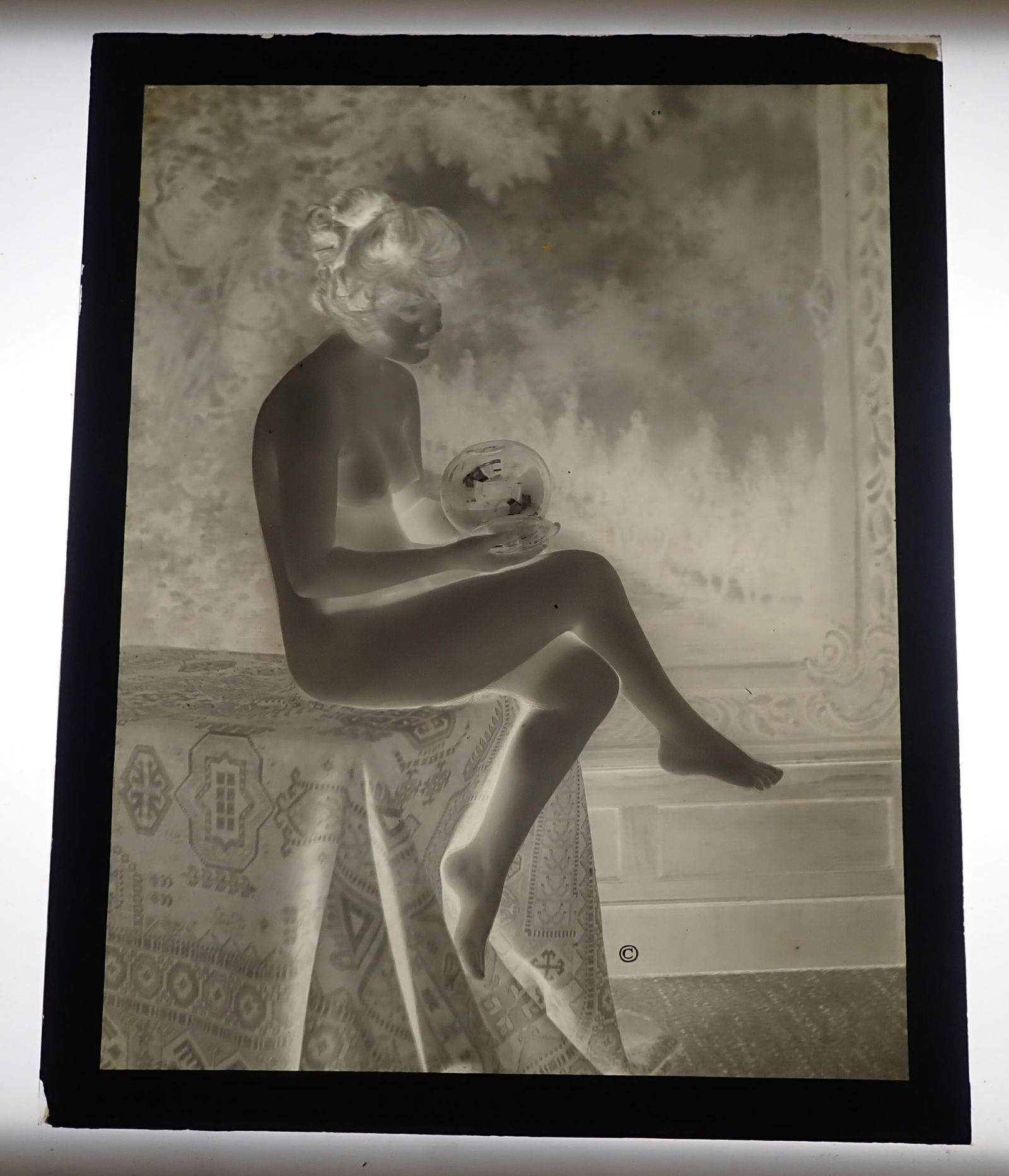 Anna Hamilton Nude w/ Fish Bowl Glass Negative: Glass plate negative is approx 8" x 10". Shipping available