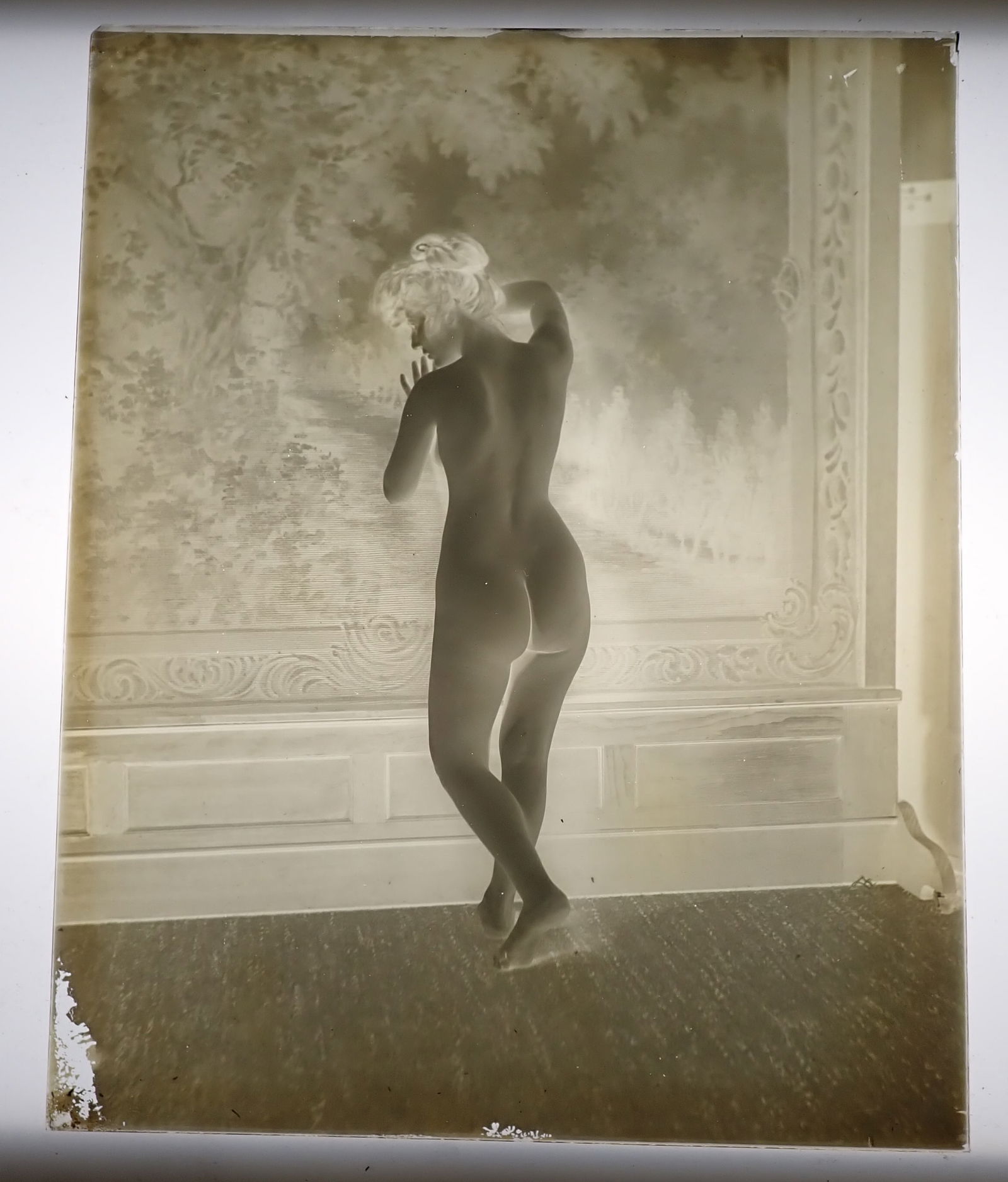 Anna Hamilton Nude Glass Plate Negative: Approx 8" x 10". Shipping available