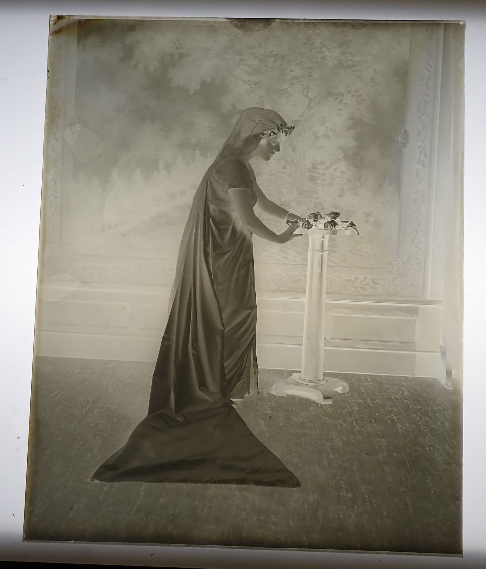 Anna Hamilton Bride Glass Plate Negative: Approx 8" x 10". Shipping available
