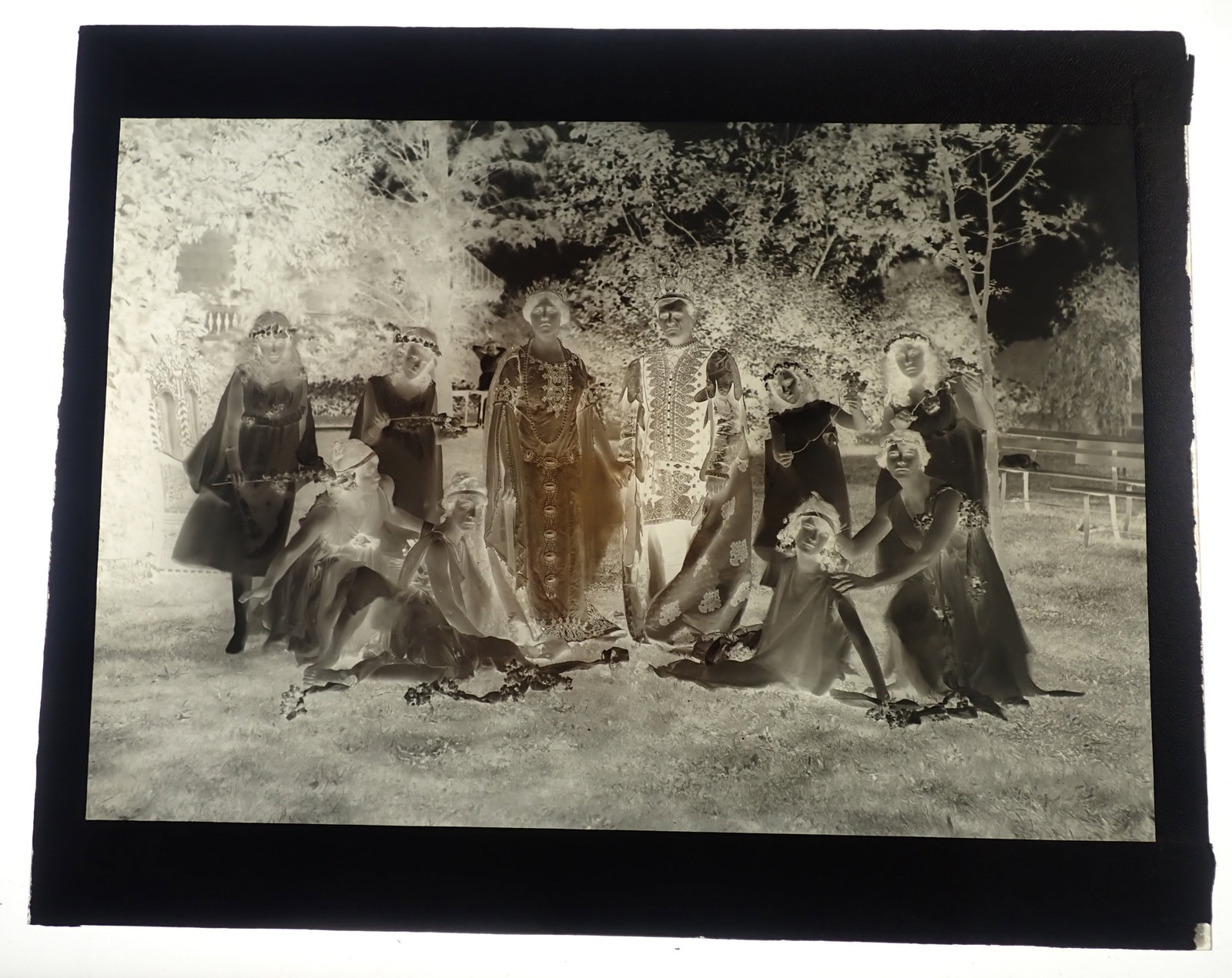 Shakespearean Troupe Glass Negative: Approx 8" x 10". Shipping available