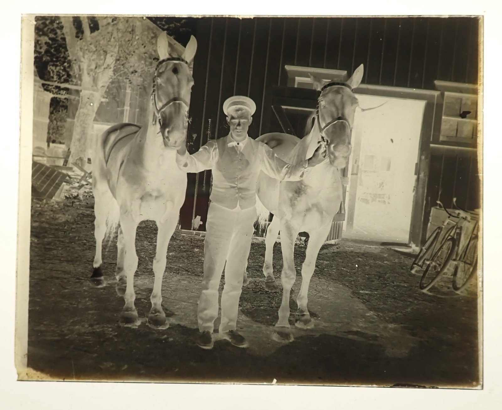 Man w/ Horses Glass Negative: Approx 4" x 5". Shipping available