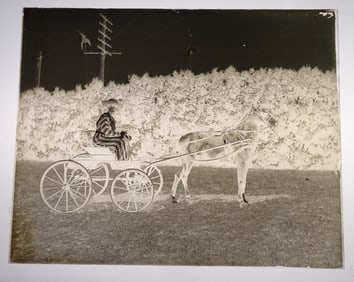 Woman w/ Veil & Striped Dress on Horse & Buggy Negative