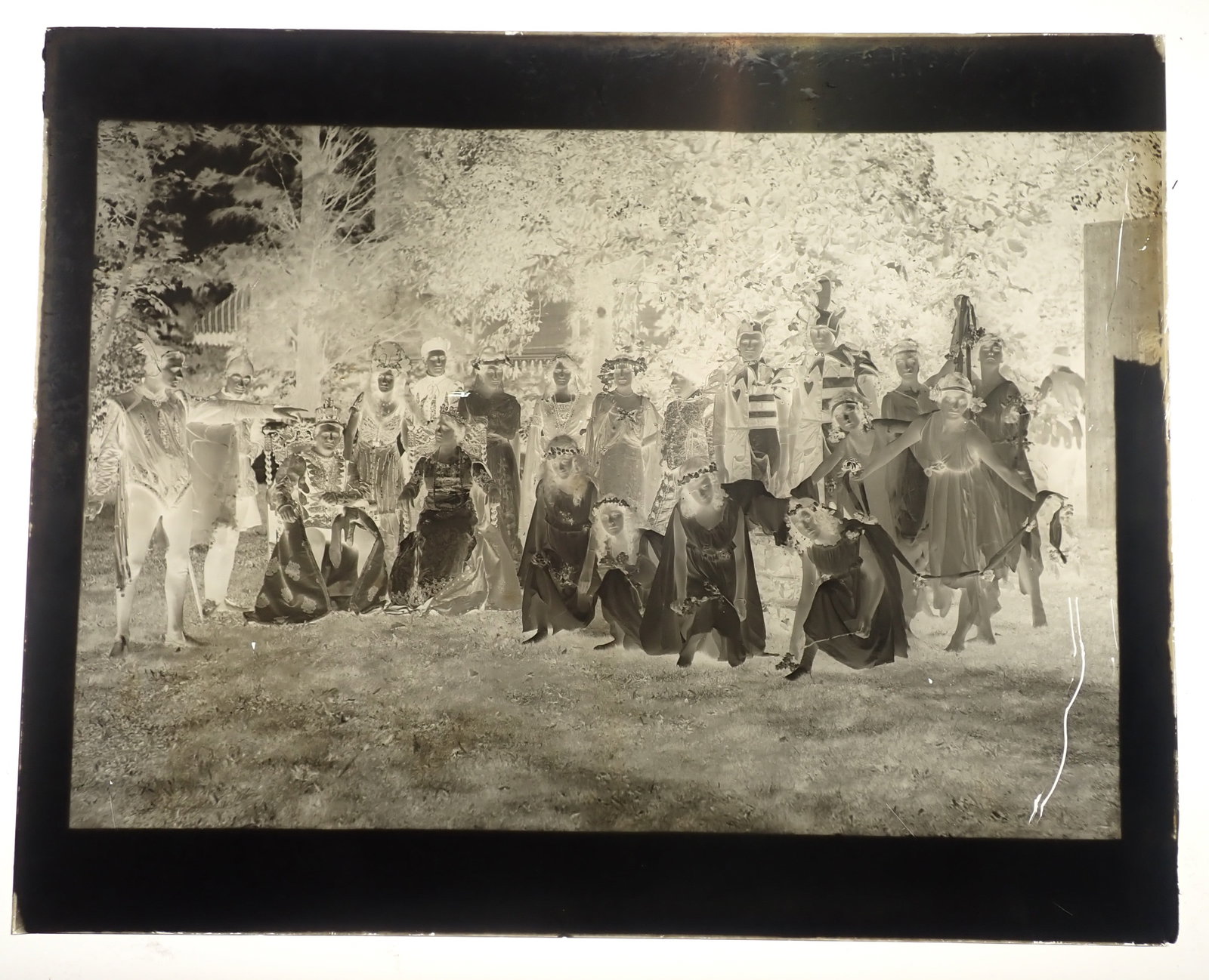 Mid Summers Nights Dream Glass Negative: Approx 8" x 10". Shipping available