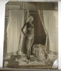 Nude Glass Plate Negative