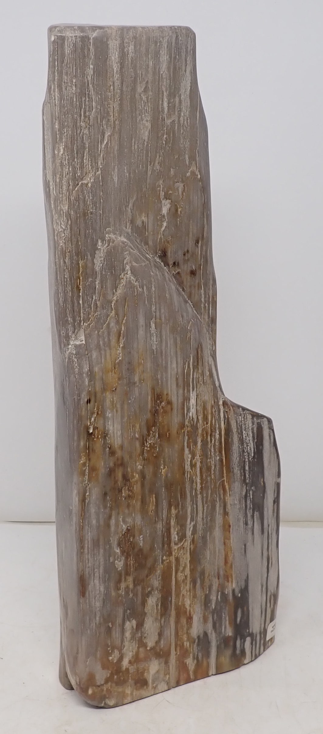 Rock / Fossil: Has Indonesia sticker on it. Apprx 1 3/4" x 6" x 15 1/4". Shipping available