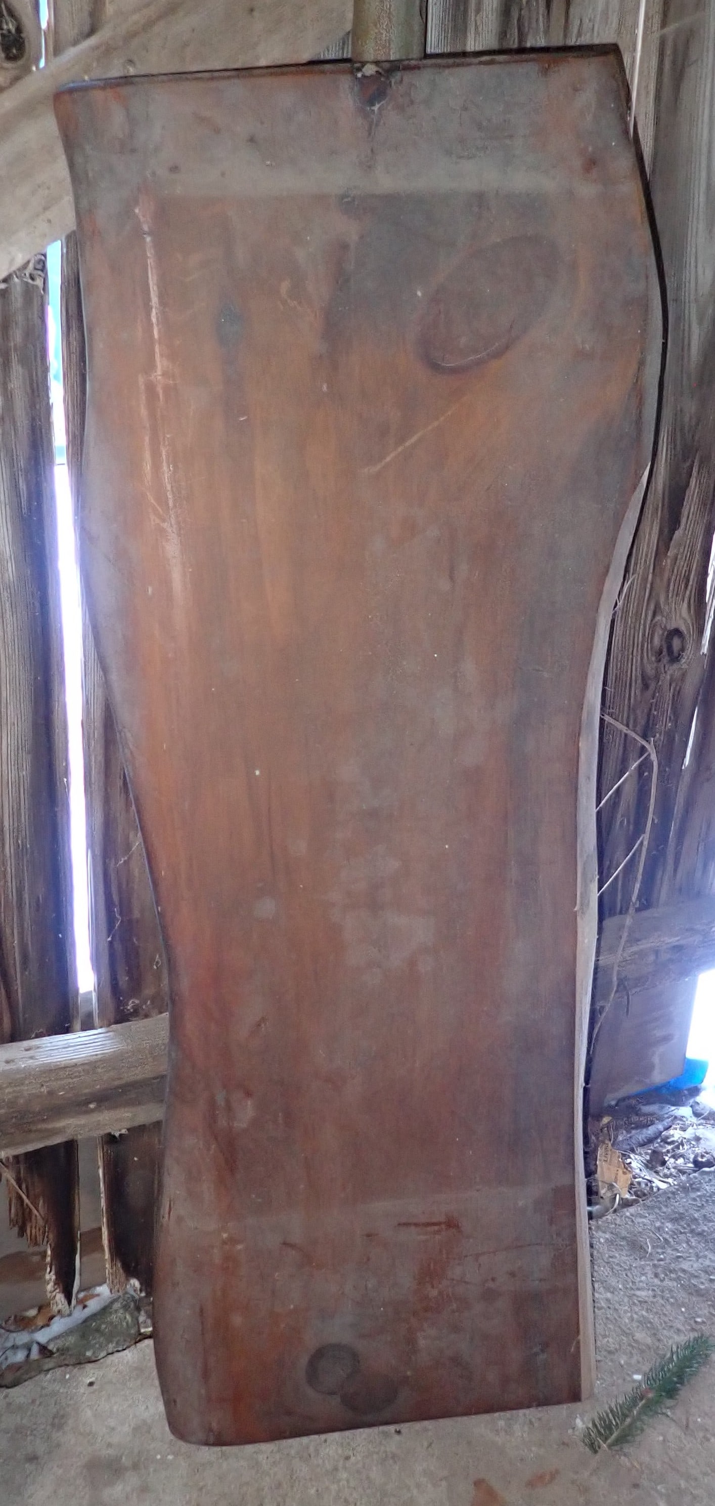 Live Edge Table / Bench Top (1 of 2)