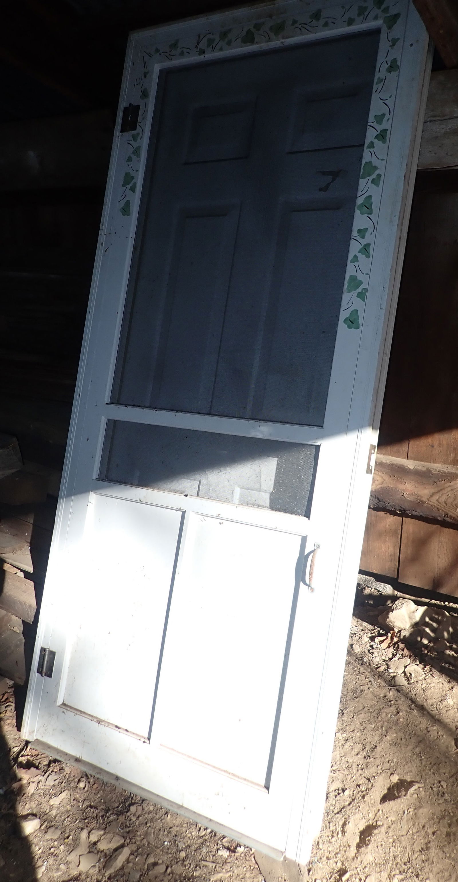 Screen / Entry Door , & Wooden Door (1 of 3)