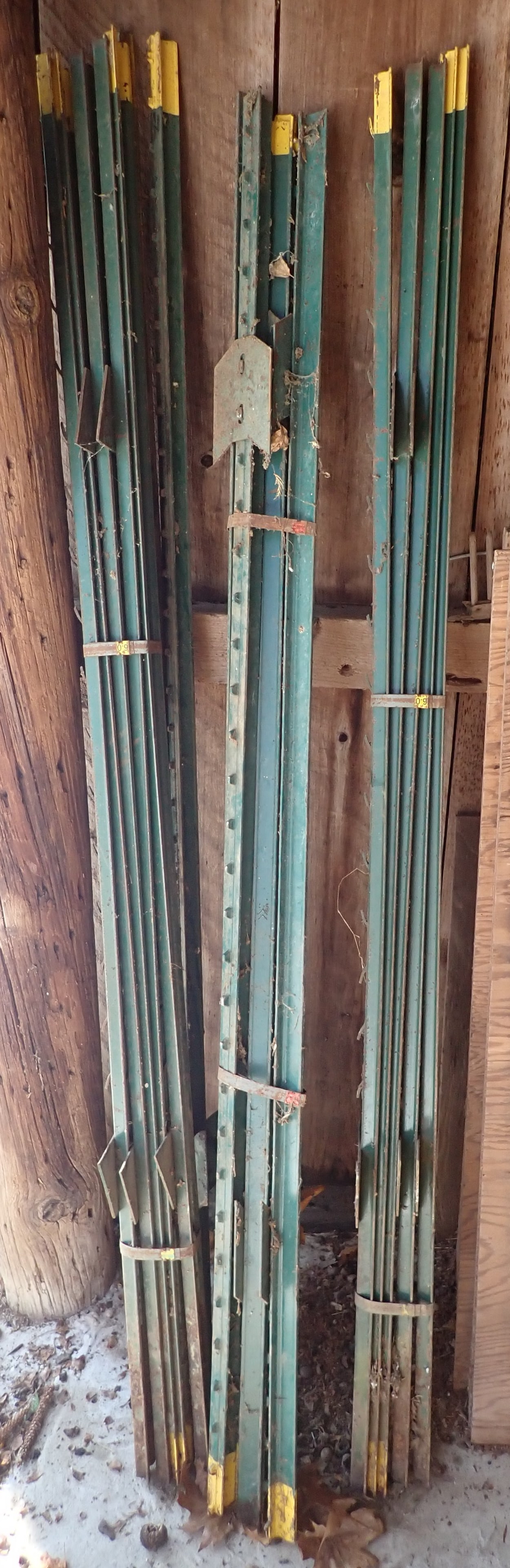 17 Fence Posts (1 of 1)