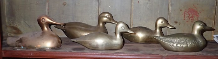 5 Brass Ducks