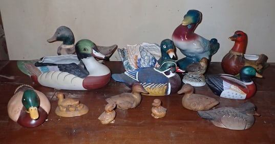 Misc Ducks