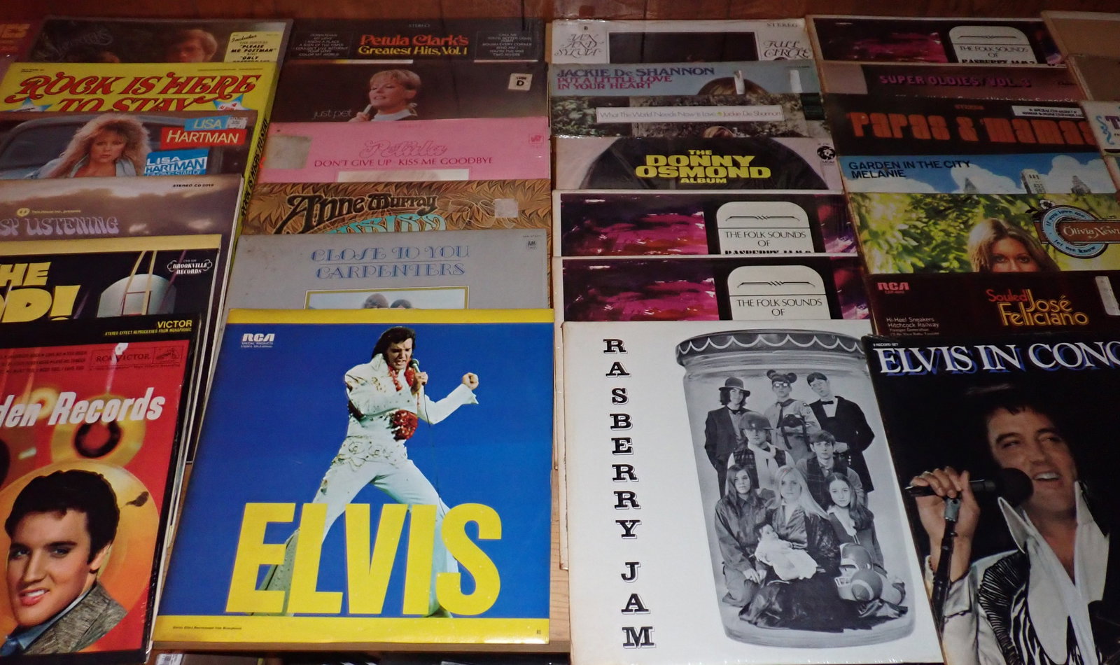 Elvis & Misc Records (1 of 7)