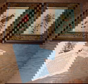 Ron Orlando Signed & Numbered Cardinal Prints