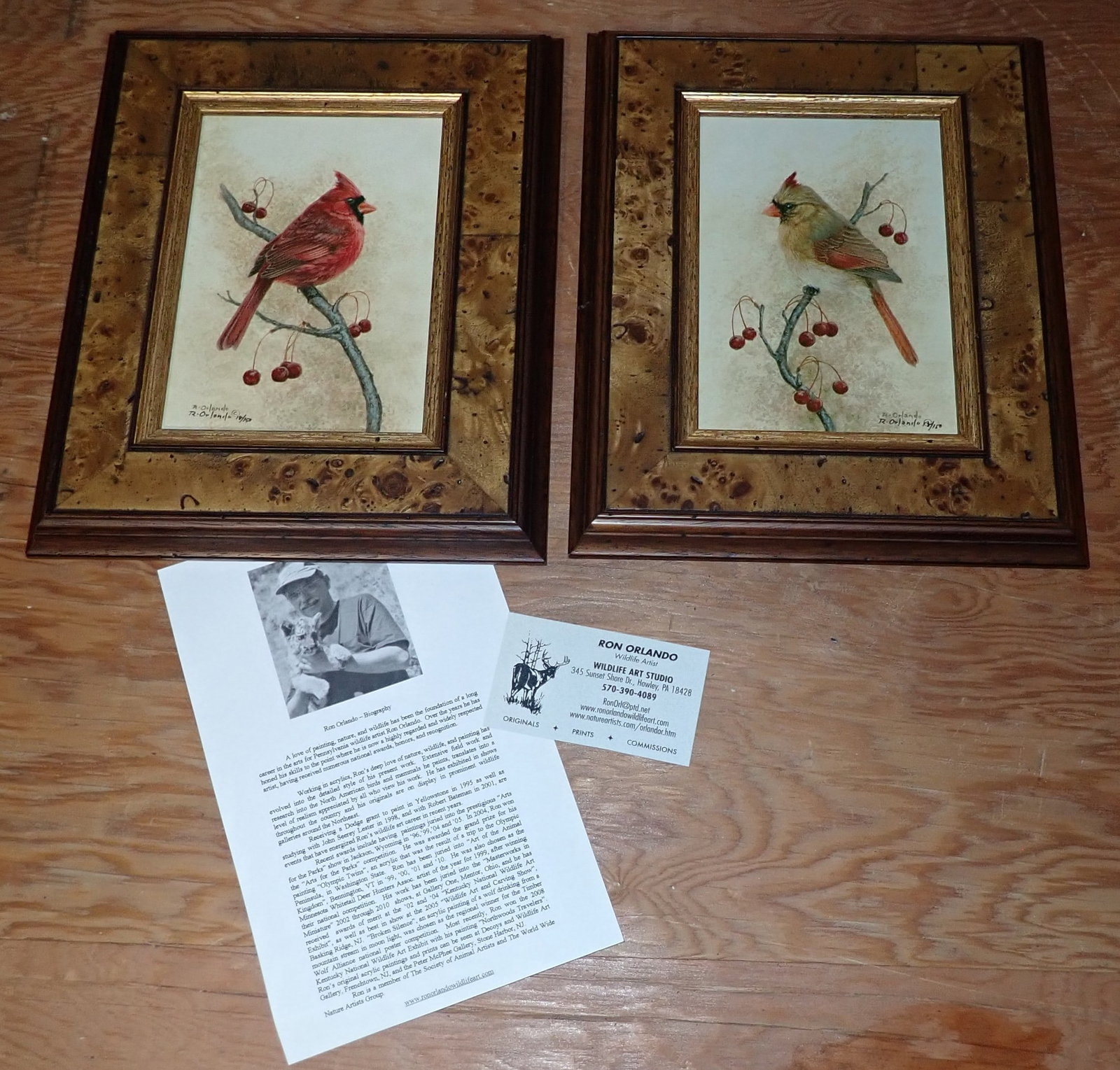 Ron Orlando Signed & Numbered Cardinal Prints (1 of 6)