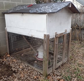 Chicken Coop