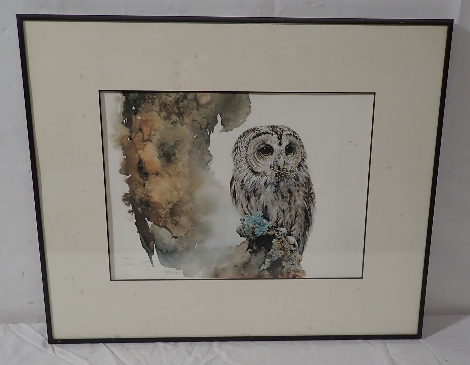 Morten Solberg Signed & Numbered Owl Print: Tawny Owl Print - Apprx 18 1/4" x 22 1/4". Shipping available ($35 handling charge, plus postage)