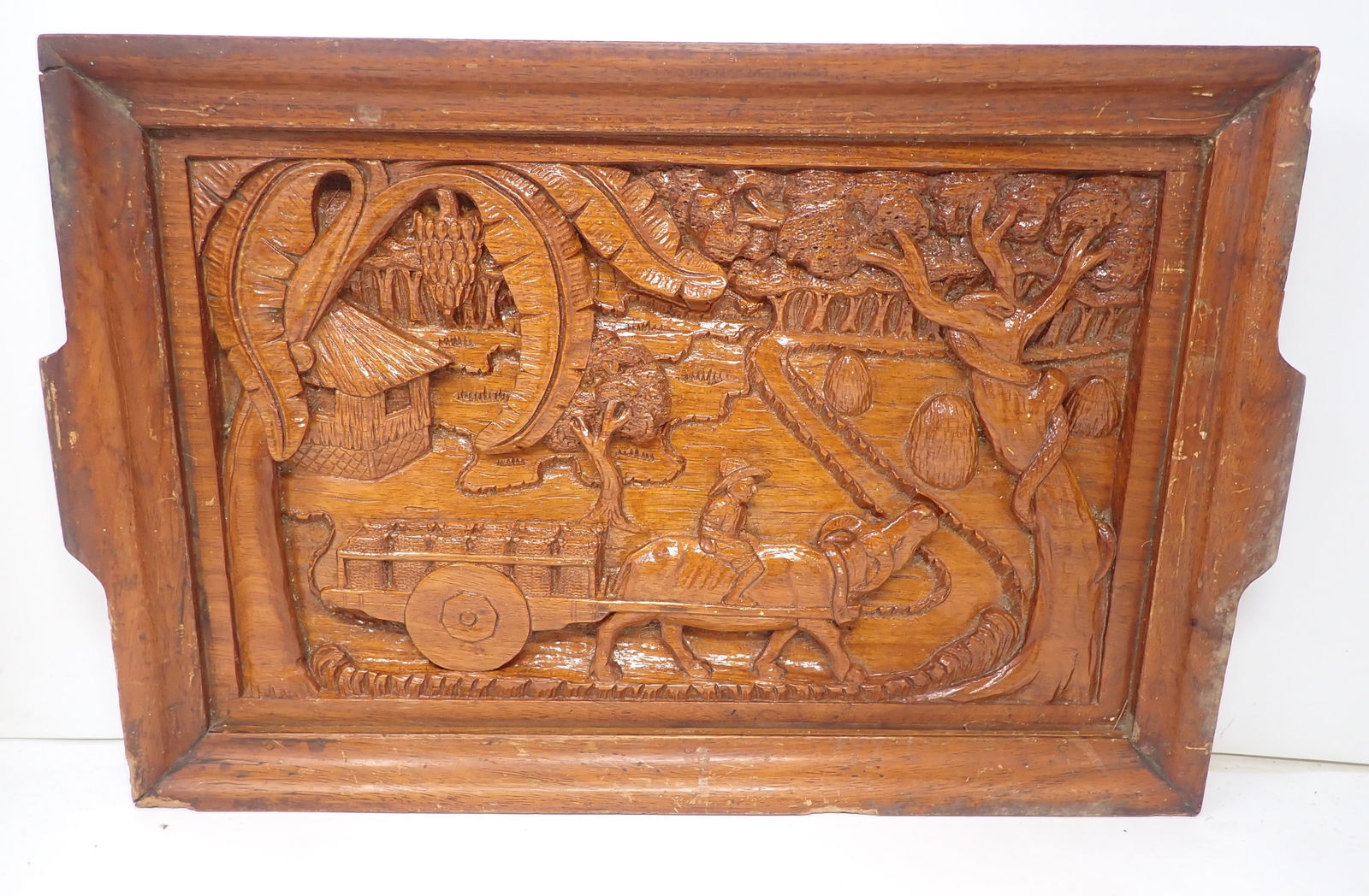 Wood Carved Serving Tray: Approx 12 1/2" x 20" x 2" tall. Shipping available