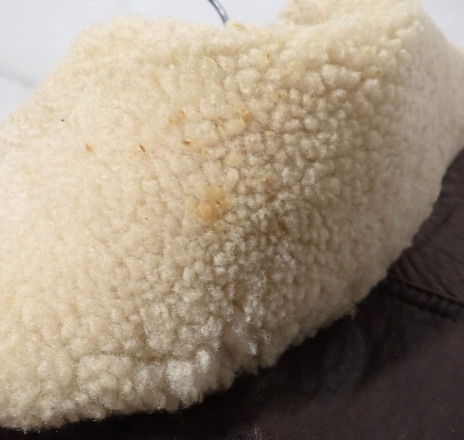 Adventure Bound Bomber Jacket - 3