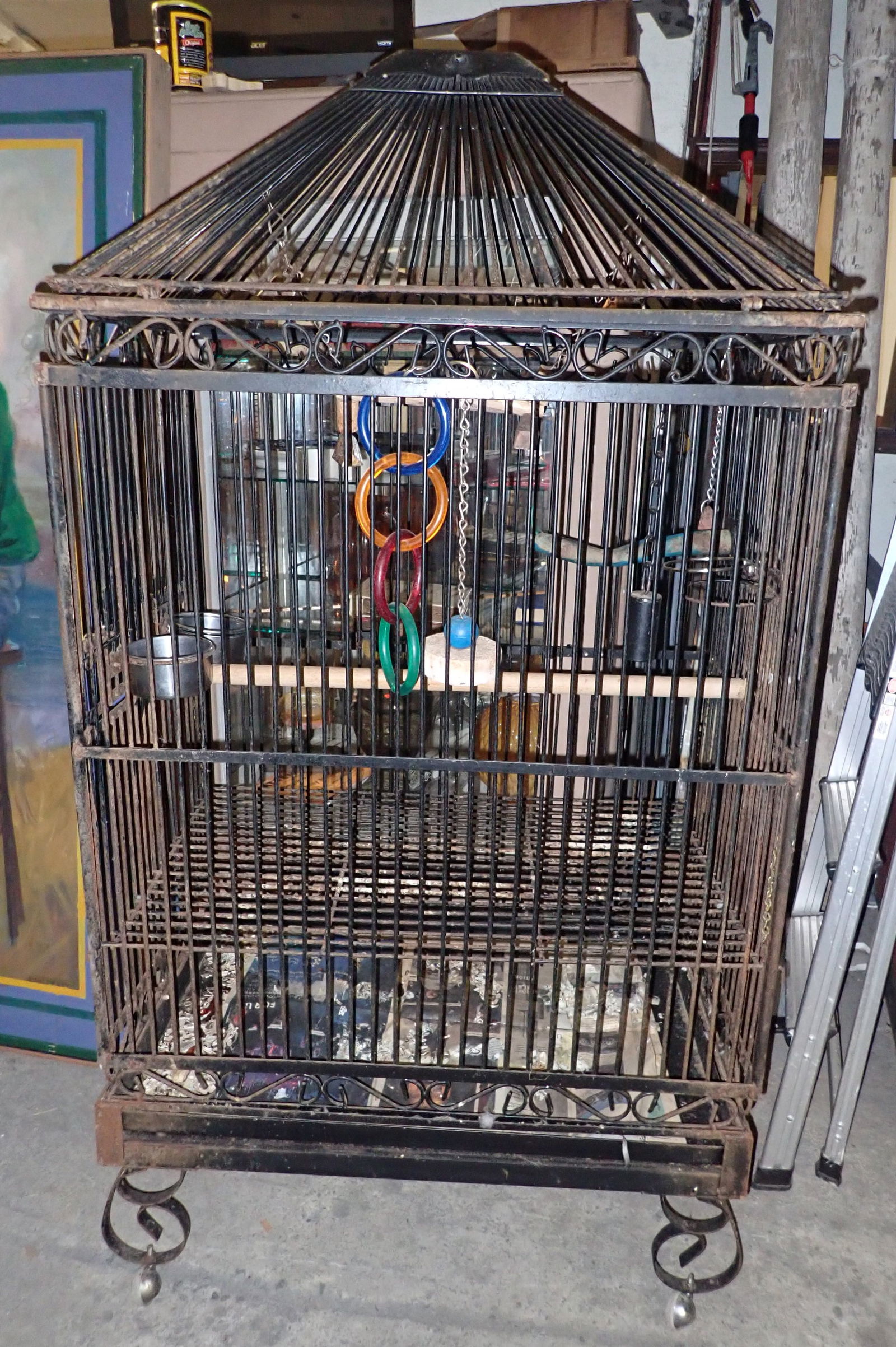 Bird Cage (1 of 3)